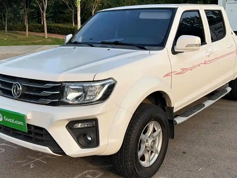 Ruiqi 2021 2.4L gasoline two-wheel drive entrepreneurial version long cargo box 2TZD