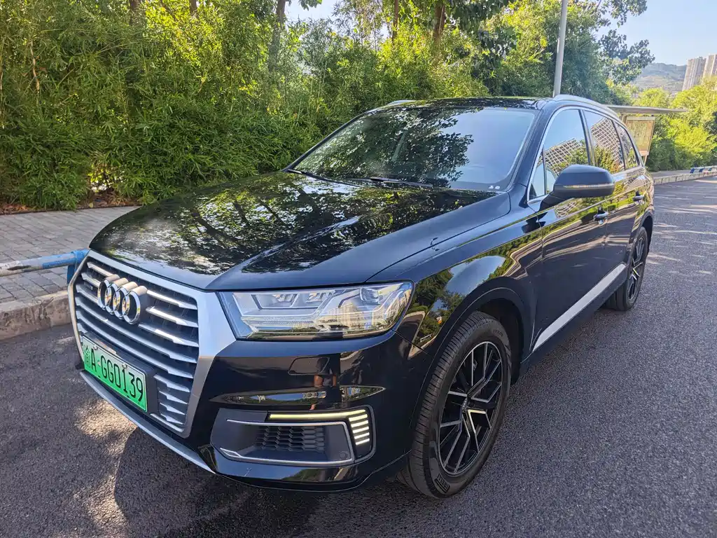 Audi Q7 New Energy 2019, модель 55 e-tron