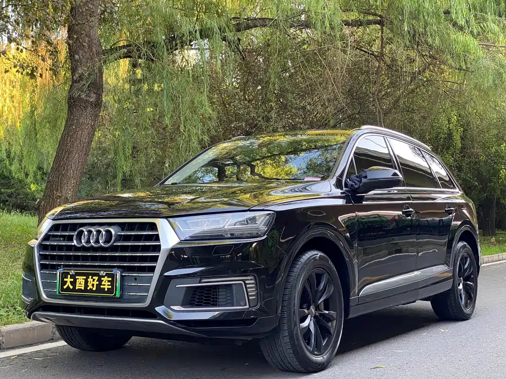 Audi Q7 New Energy 2019, модель 55 e-tron