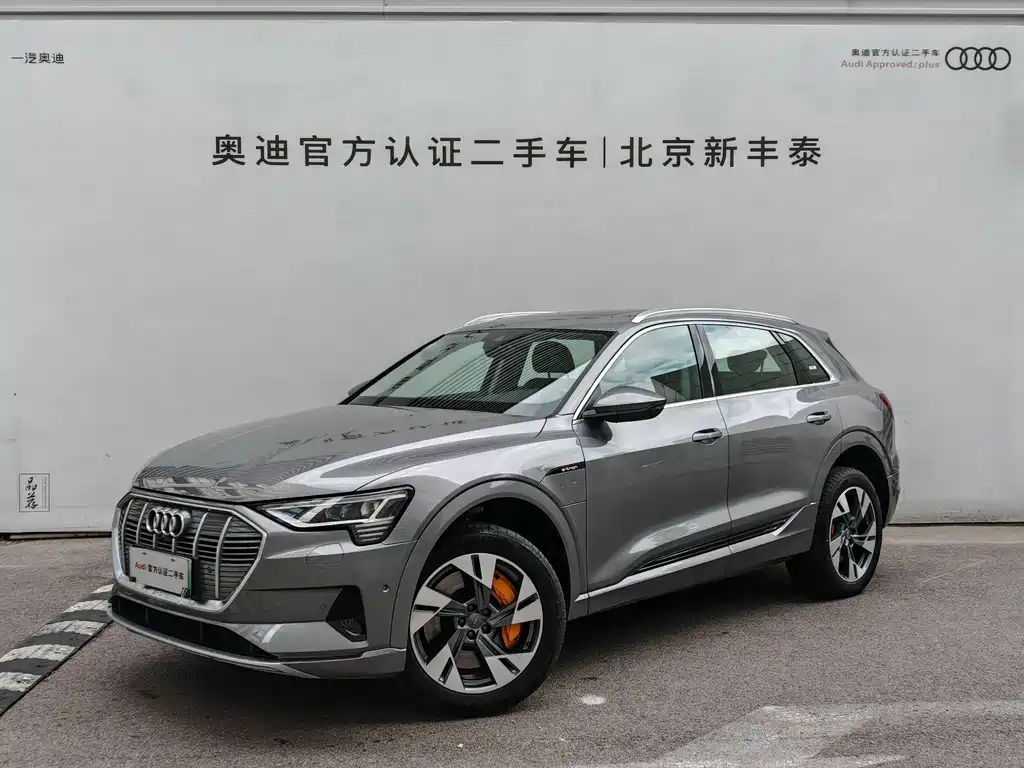 Audi e-tron (Import) 2019 55 quattro technology model year