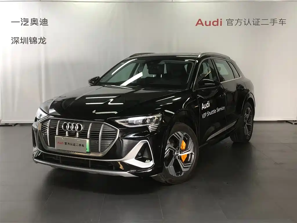 Audi e-tron 2021 50 quattro Pegasus