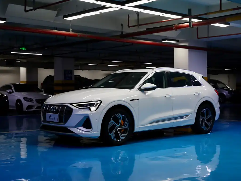 Audi e-tron 2021 50 quattro Pegasus