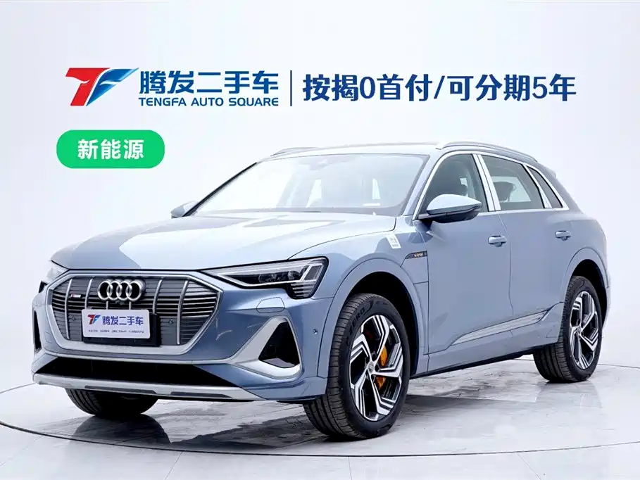 Audi e-tron 2021 50 quattro Pegasus