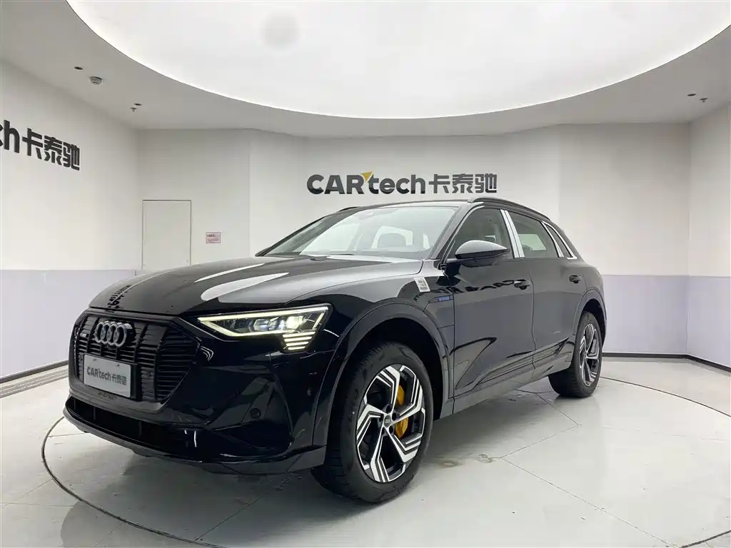 Audi e-tron 2021 50 quattro Pegasus