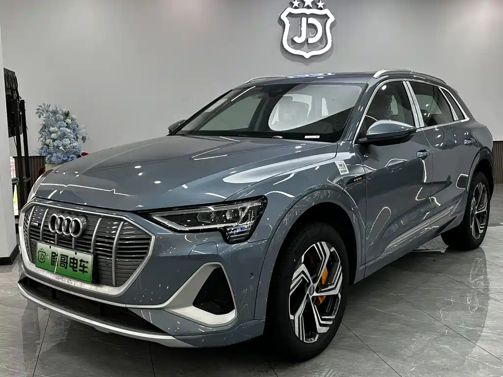 Audi e-tron 2021 50 quattro Pegasus