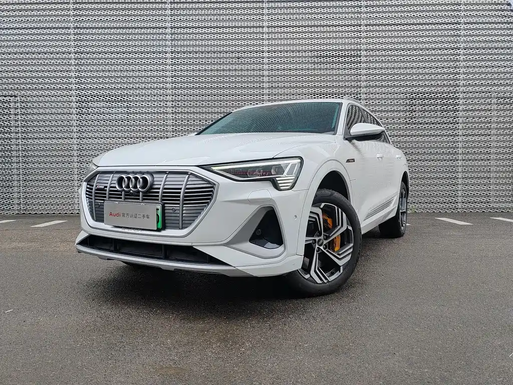 Audi e-tron 2021 50 quattro Pegasus