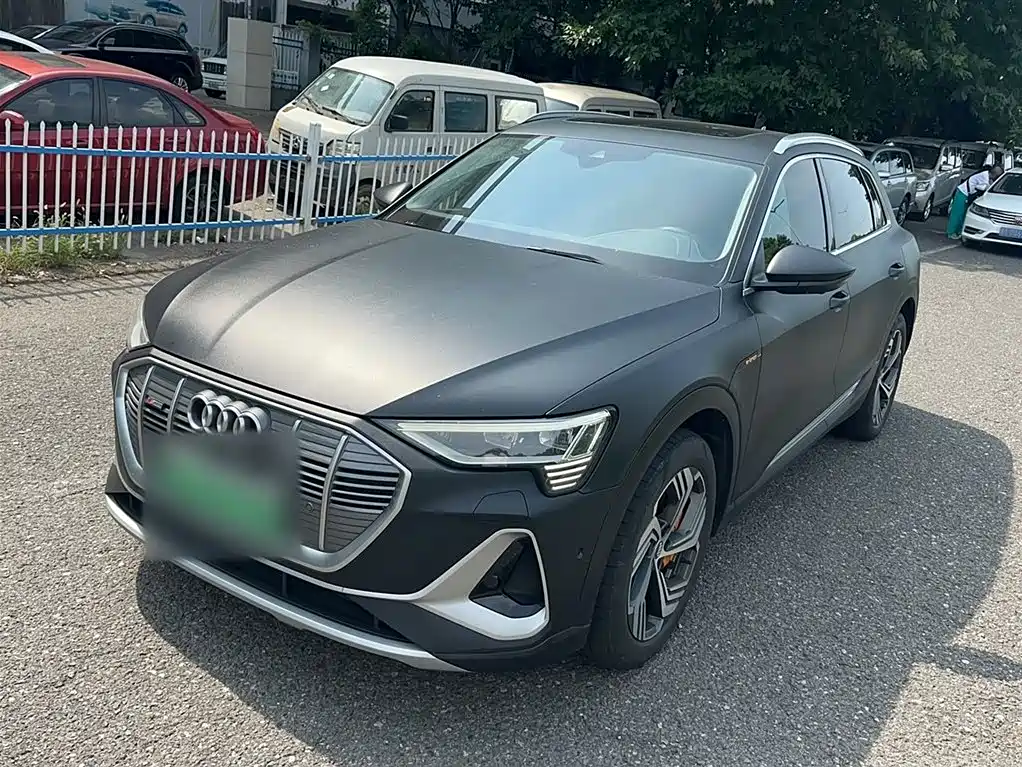 Audi e-tron 2021 50 quattro Pegasus