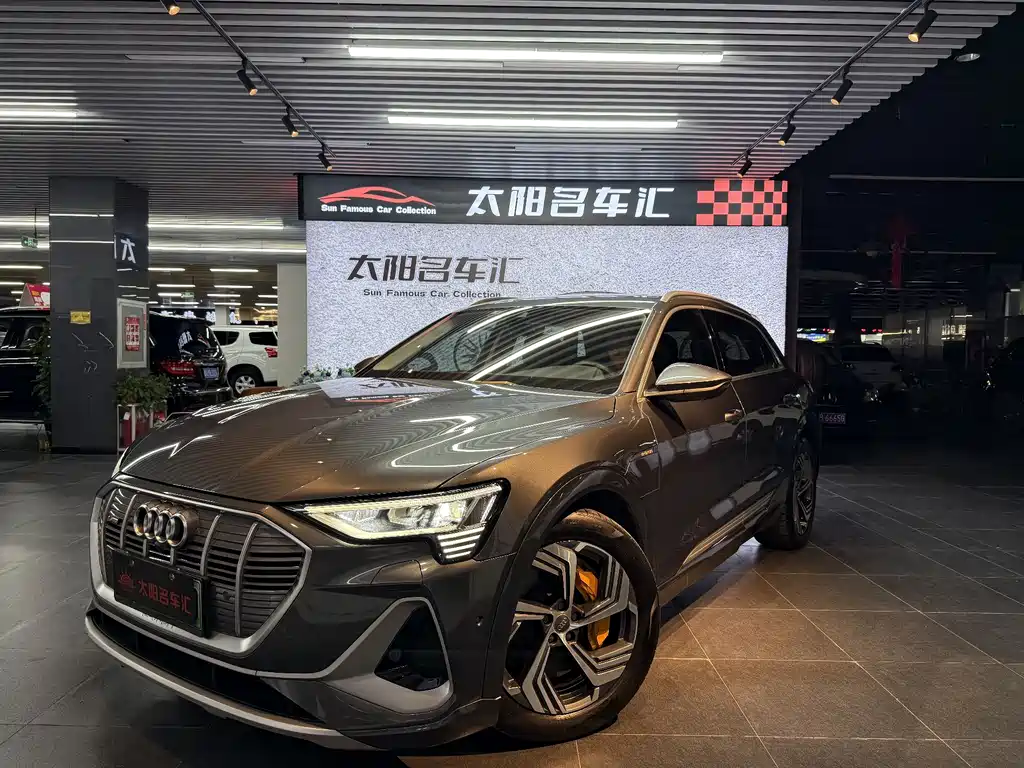 Audi e-tron 2021 50 quattro Pegasus