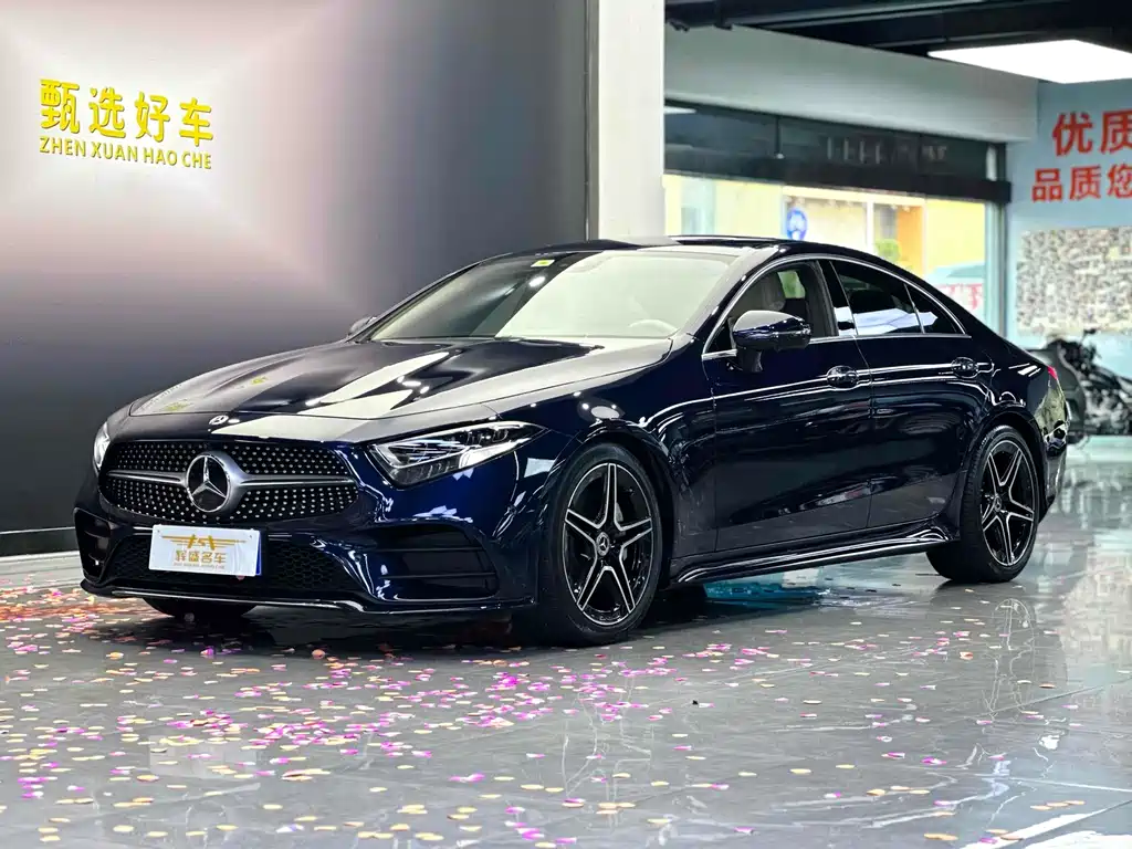 Mercedes-Benz CLS 2021 CLS 300 Luxury