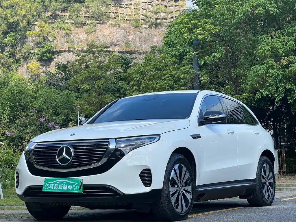 Mercedes-Benz EQC 2020 EQC 350 4MATIC