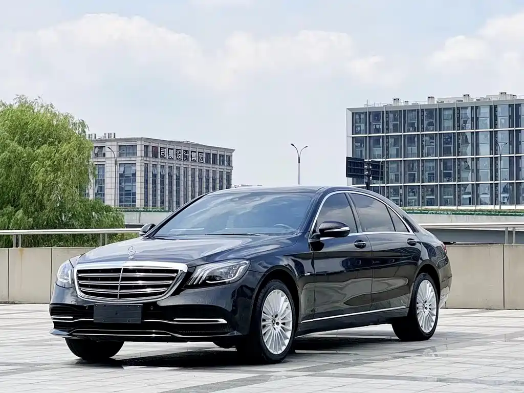 Mercedes-Benz S-Class 2020 S 350 L Business Pegasus Edition