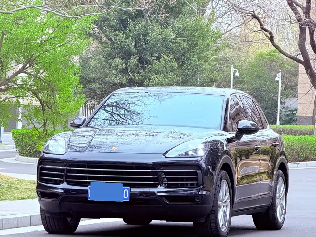 Cayenne 2022 Cayenne 3.0T Platinum