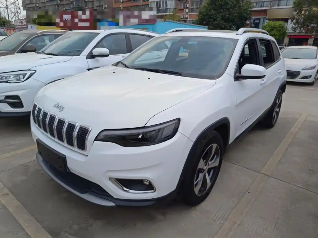 Free Light 2020 2.0T two-wheel drive leading version
