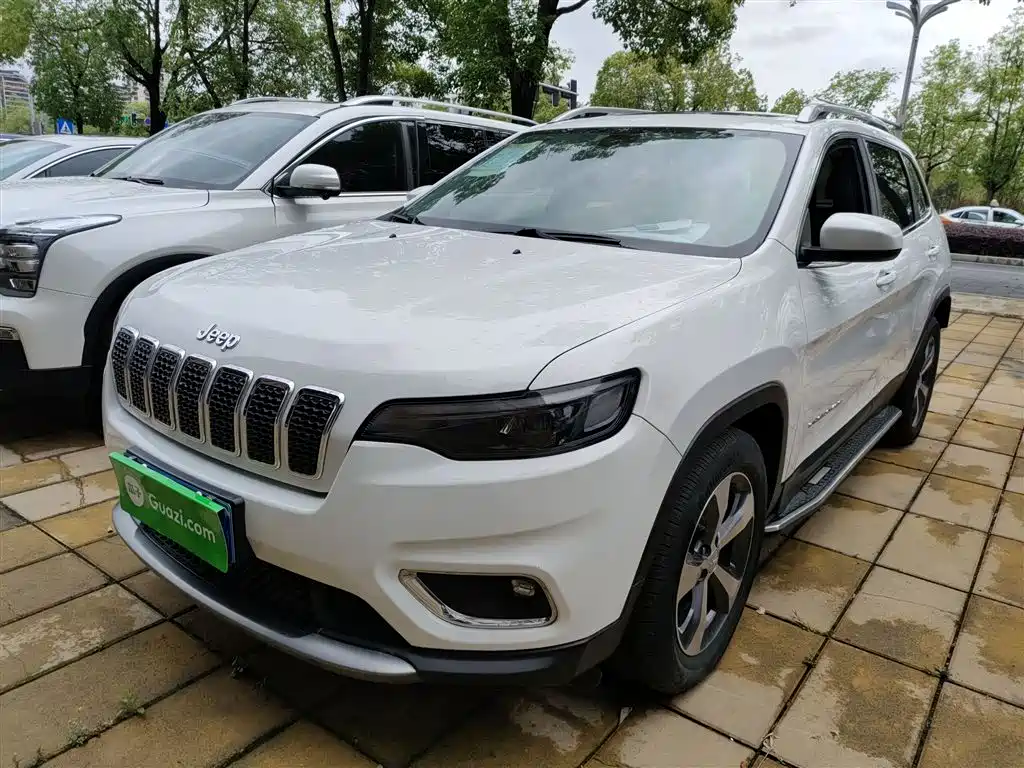Free Light 2020 2.0T two-wheel drive leading version