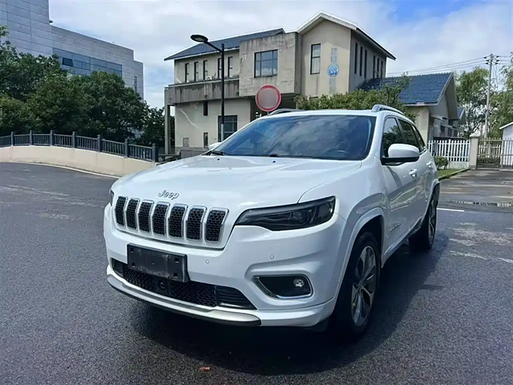 Free Light 2019 2.0T four-wheel drive all-around version Country VI