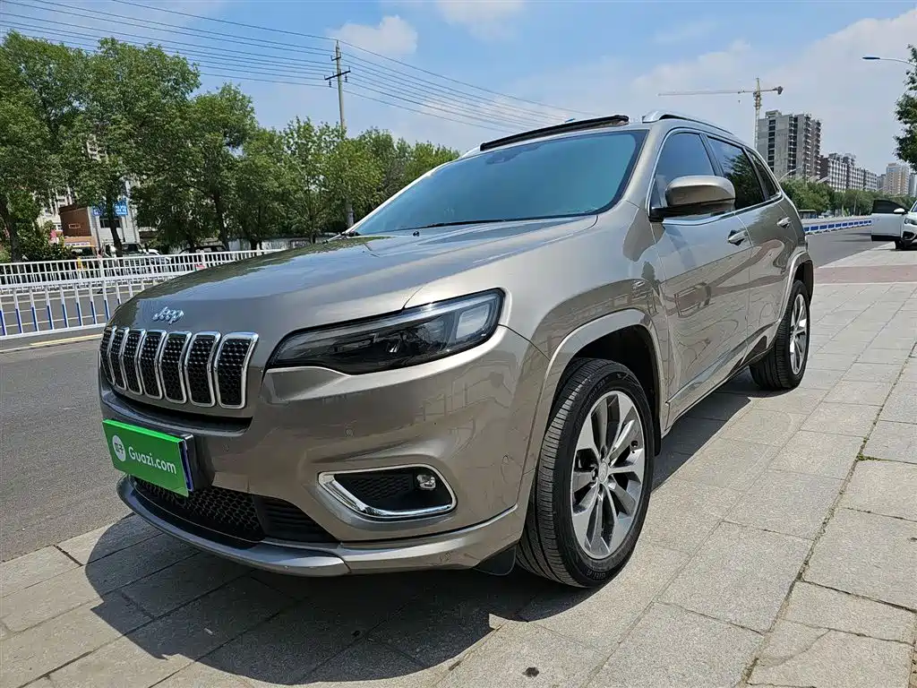 Free Light 2019 2.0T four-wheel drive all-around version Country VI