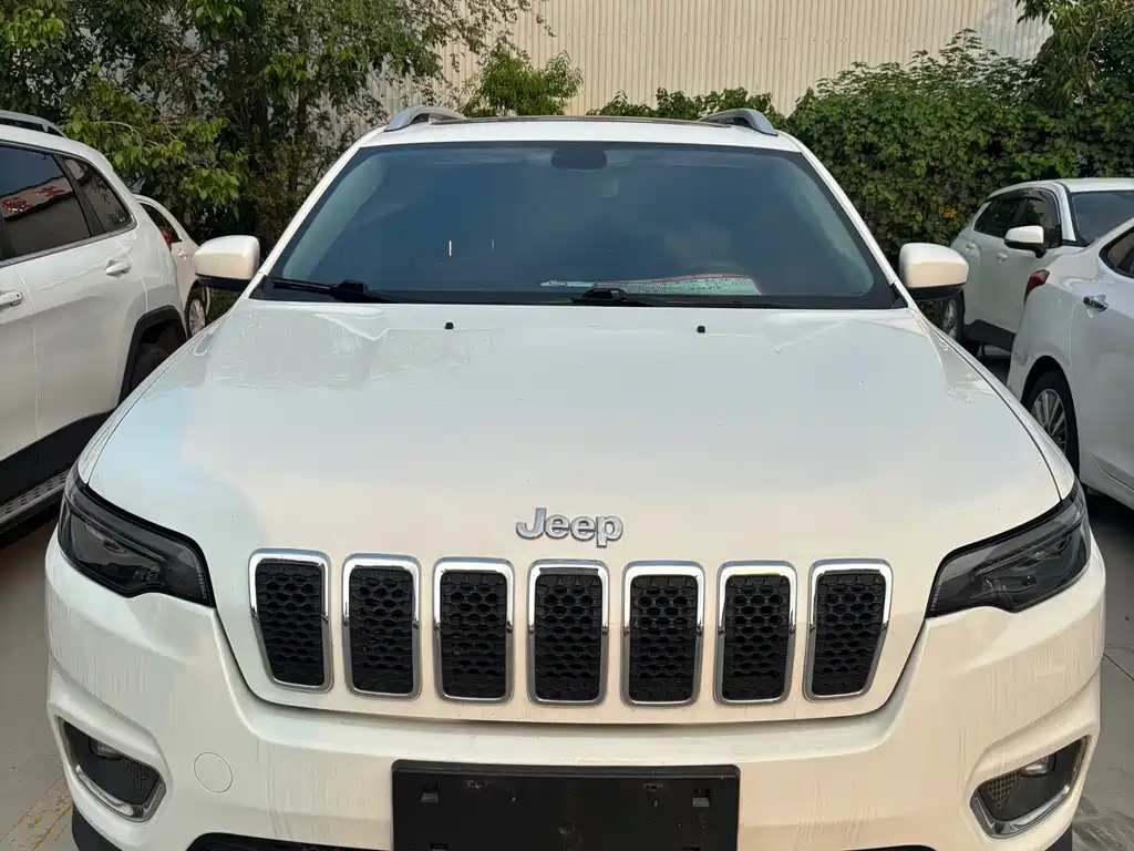 Free Light 2019 2.0L two-wheel drive premium edition Country VI