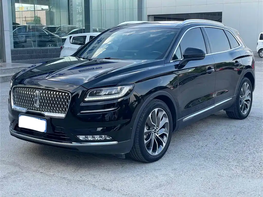 Voyager 2021 2.0T 4WD Premium