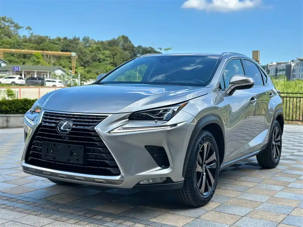 Lexus NX 2019 300h Million Dollar Anniversary Limited Edition National VI