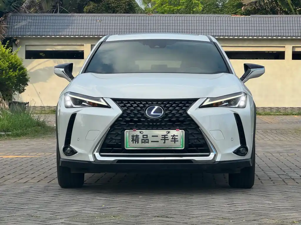 Lexus UX New Energy 2020 Модель 300e Pure*Yue Edition