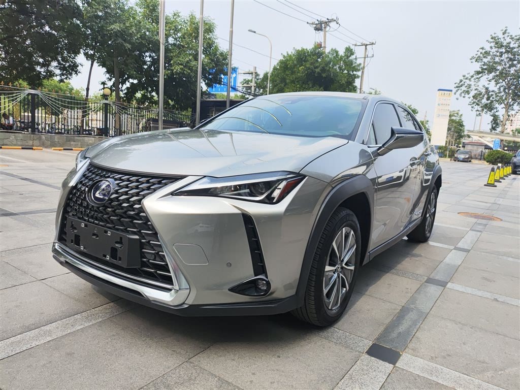 Lexus UX New Energy 2020 Модель 300e Pure*Yue Edition