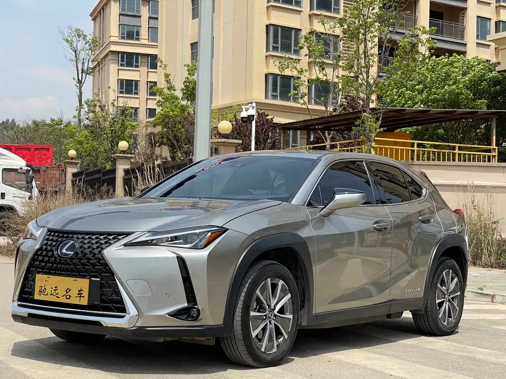 Lexus UX New Energy 2020 Модель 300e Pure*Yue Edition