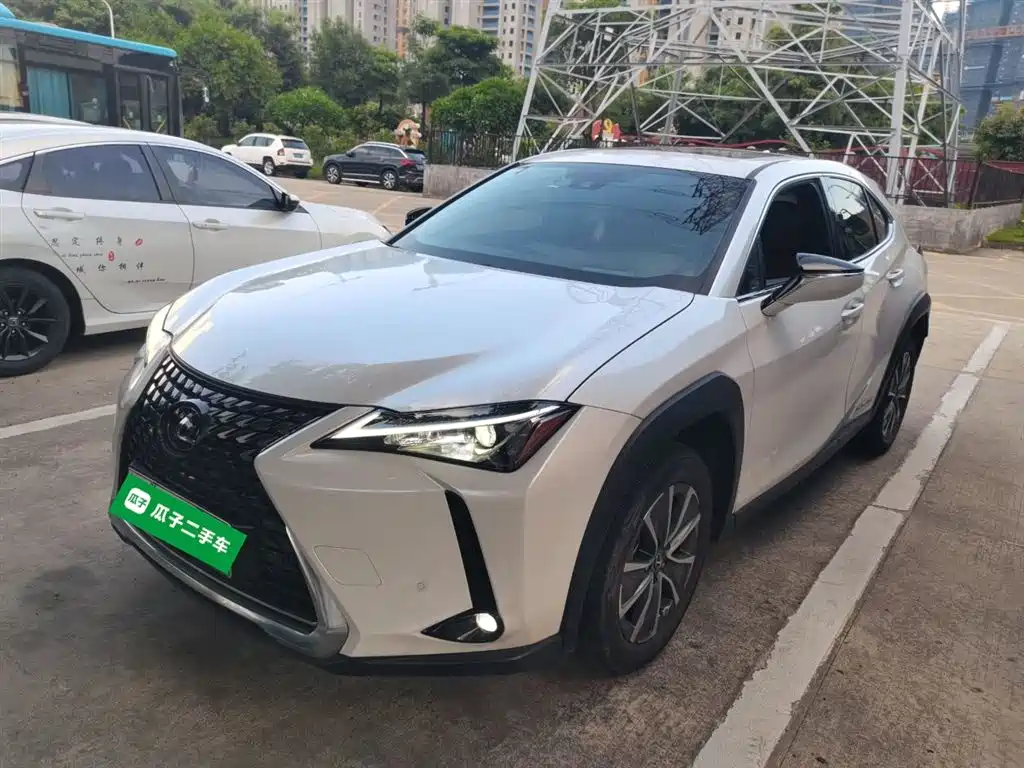 Lexus UX New Energy 2020, модель 300e Pure*Эксклюзивное издание