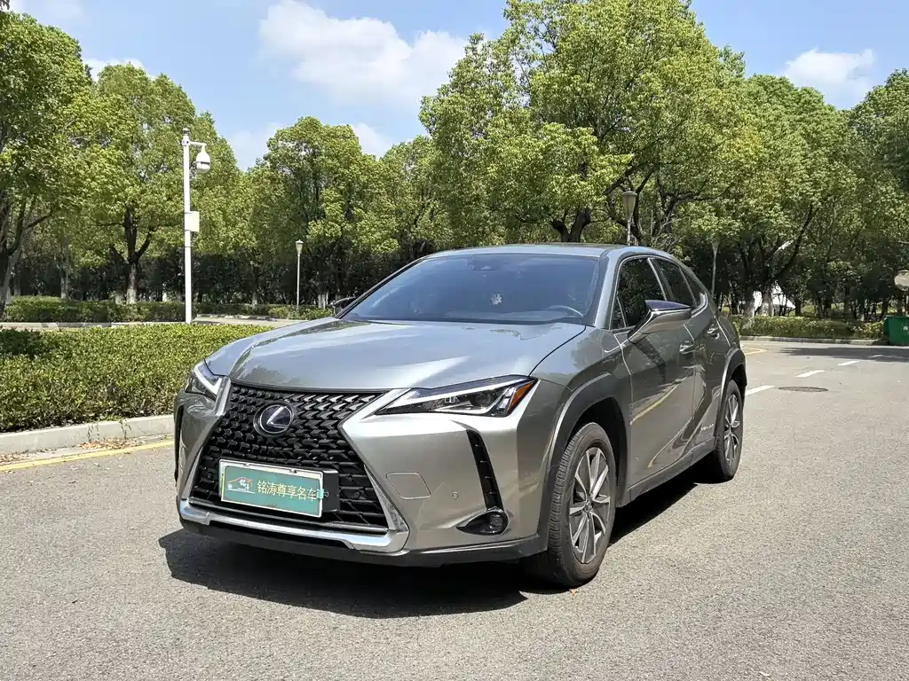 Lexus UX New Energy 2020 Модель 300e Pure*Yue Edition