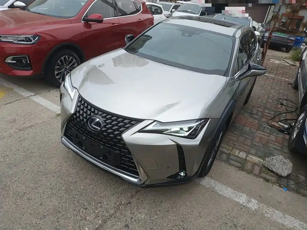 Lexus UX New Energy 2020 Модель 300e Pure*Yue Edition