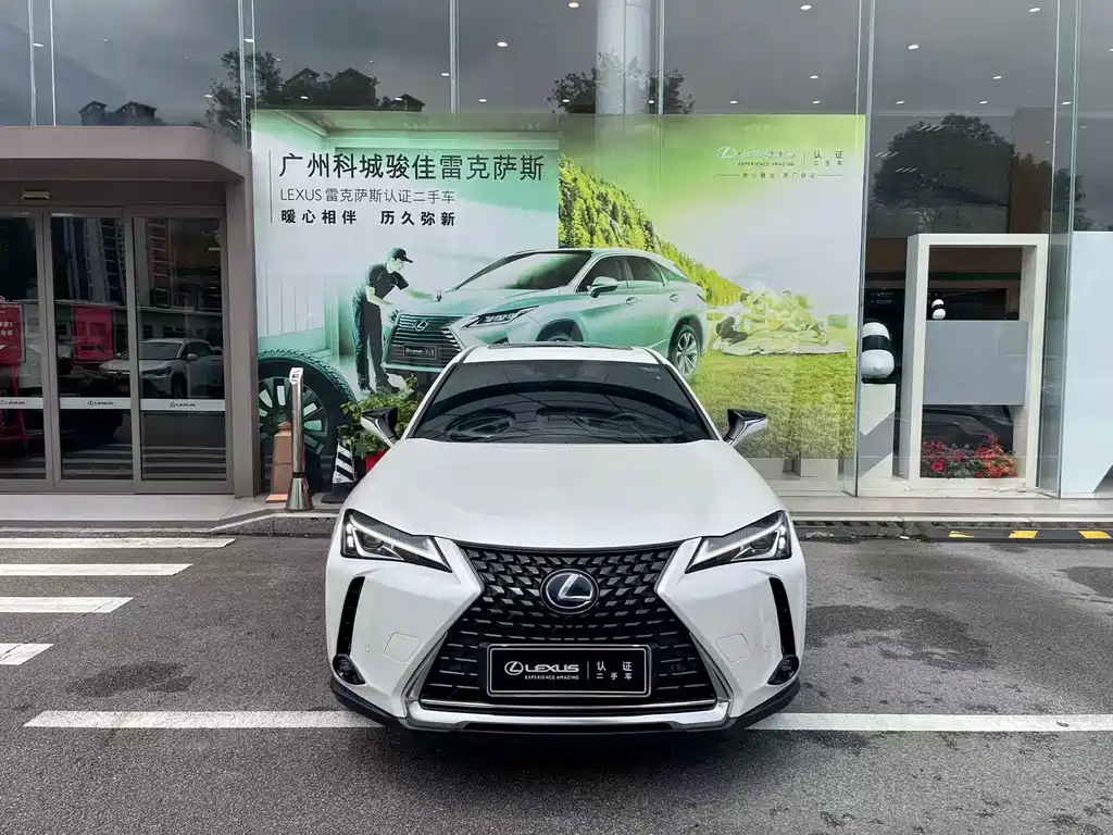Lexus UX New Energy 2020 Модель 300e Pure*Yue Edition