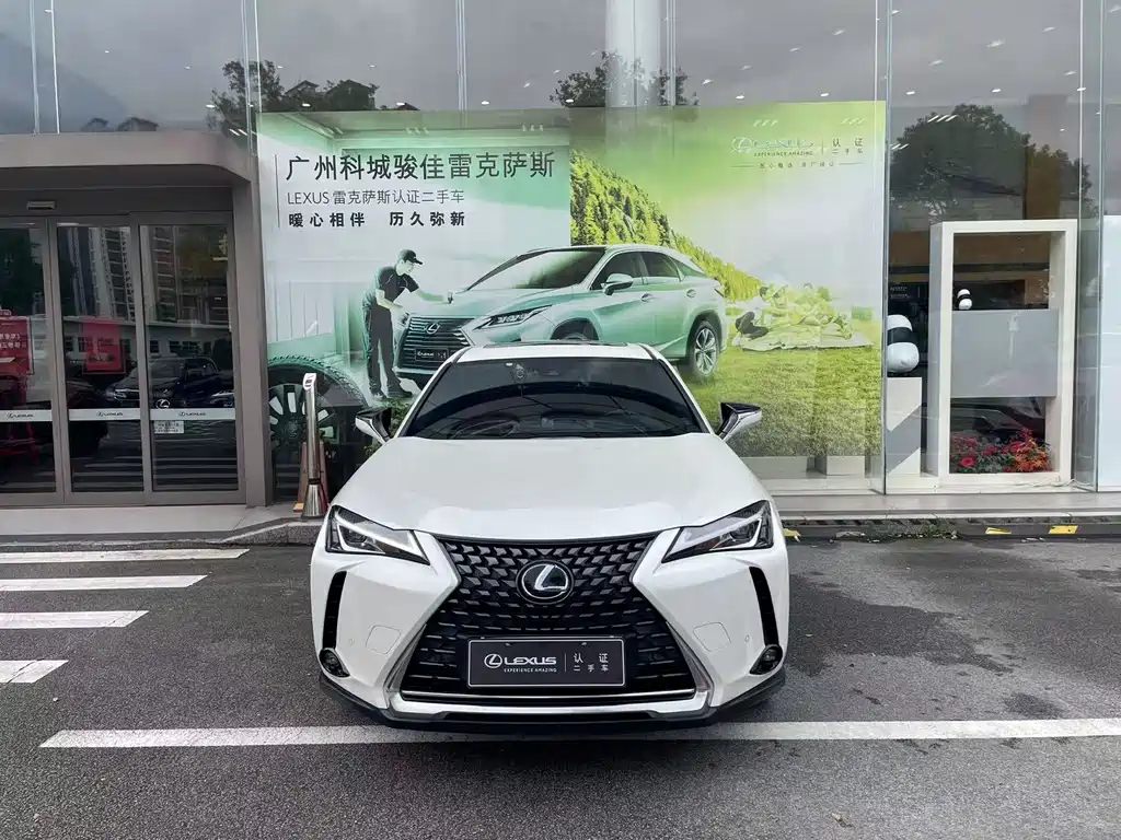 Lexus UX New Energy 2020 Модель 300e Pure*Yue Edition
