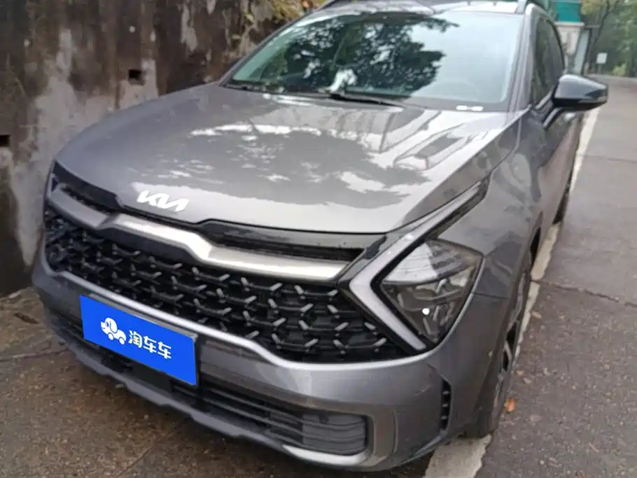 Lion Platinum Tuojie 2023 1.5T Two-wheel drive Premium Edition