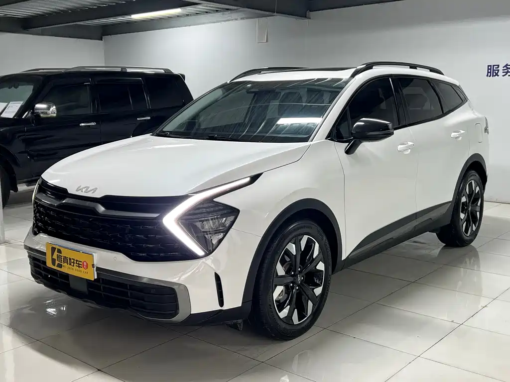 Lion Platinum Tuojie 2023 2.0T Two-wheel drive Premium Edition