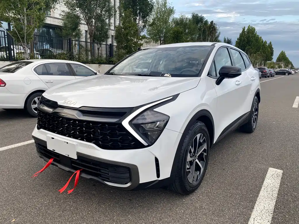 Lion Platinum Tuojie 2023 1.5T Two-wheel drive Deluxe Edition