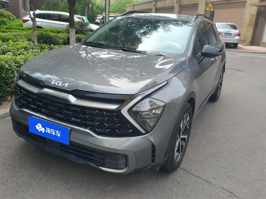 Lion Platinum Tuojie 2023 1.5T Two-wheel drive Premium Edition