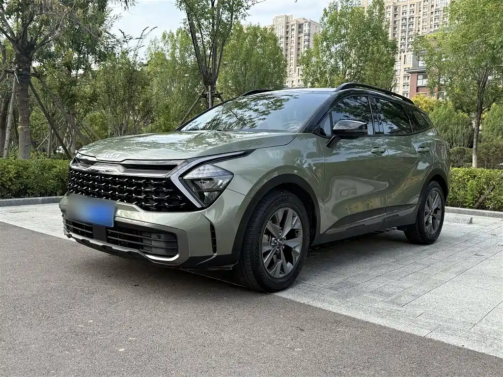 Lion Platinum Tuojie 2023 2.0L HEV Two-wheel drive Ultimate Edition