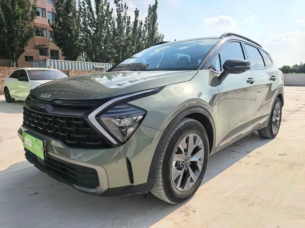 Lion Platinum Tuojie 2023 2.0L HEV Two-wheel drive Ultimate Edition
