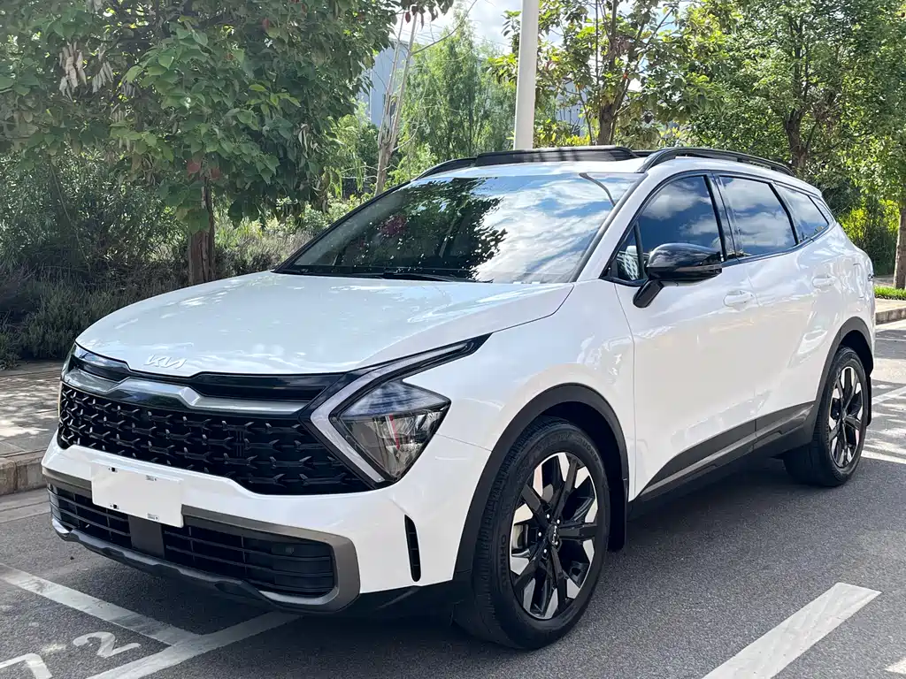 Lion Platinum Tuojie 2023 2.0T Two-wheel drive Premium Edition