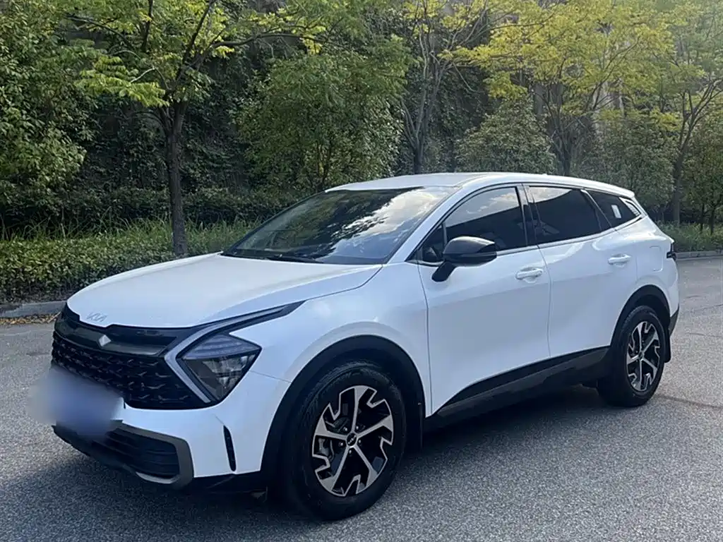 Lion Platinum Tuojie 2023 1.5T Two-wheel drive Deluxe Edition