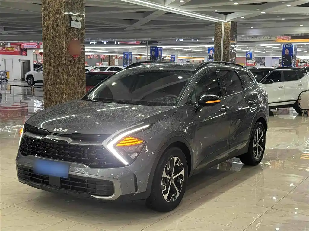 Lion Platinum Tuojie 2023 1.5T Two-wheel drive Premium Edition
