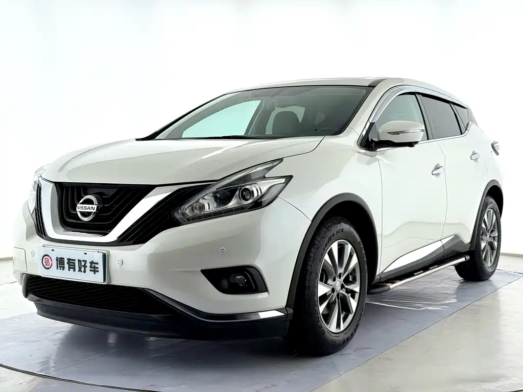 Loulan 2019 2.5L XL 2WD Intelligent Luxury Edition National VI