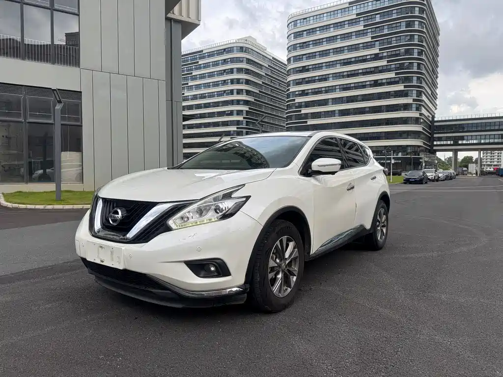 Loulan 2019 2.5L XL 2WD Intelligent Luxury Edition National VI