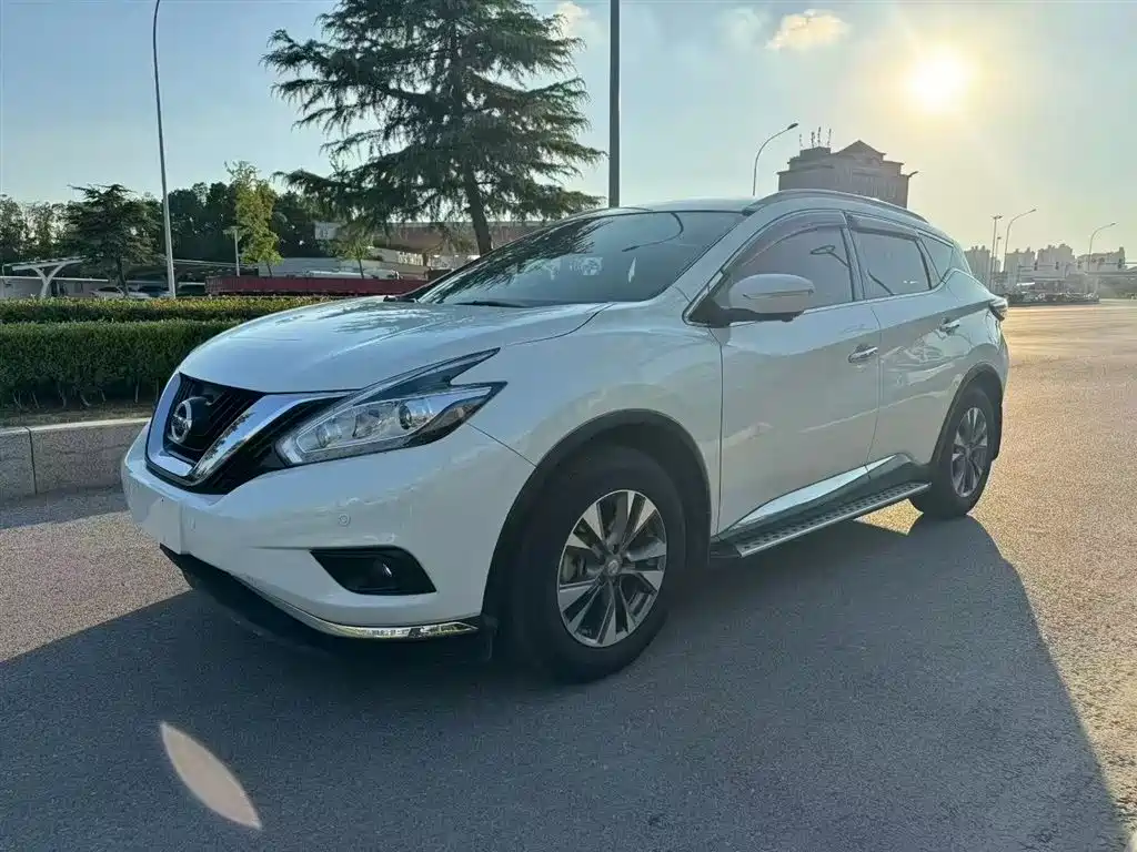 Loulan 2019 2.5L XL 2WD Intelligent Luxury Edition National VI