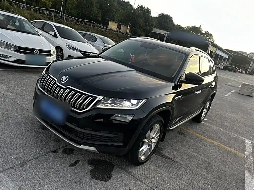 Kodiak 2021 model ZI330 5-seater two-wheel drive luxury Premium edition