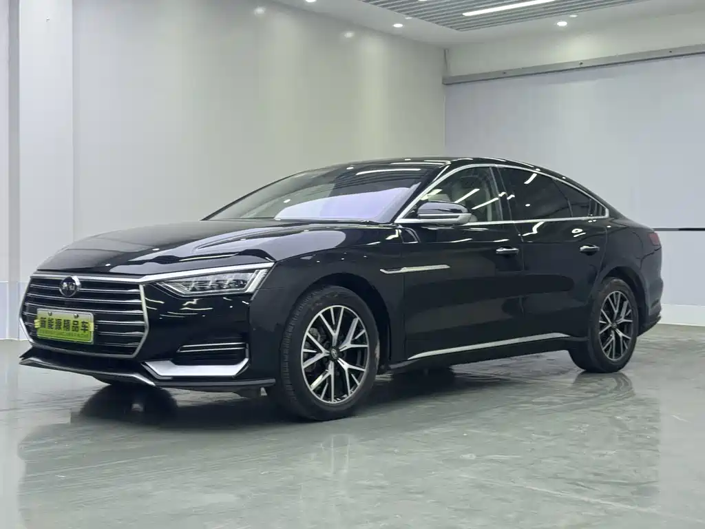 BYD e9 2021 Business Edition
