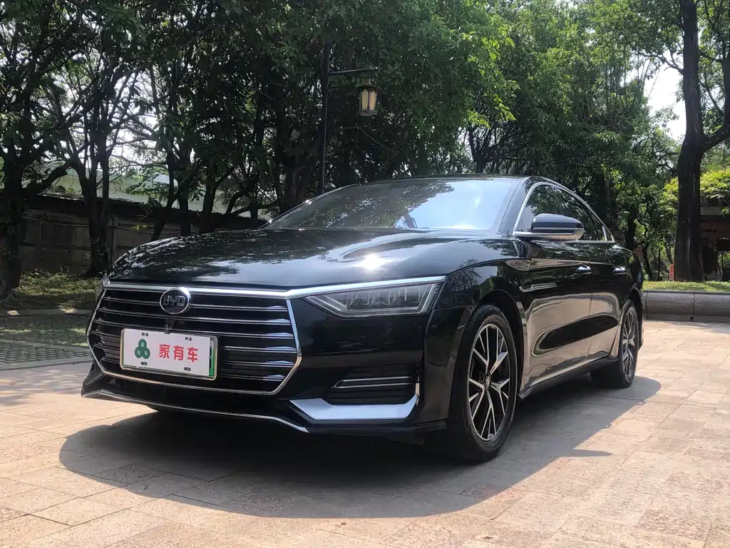 BYD e9 2021 Business Edition