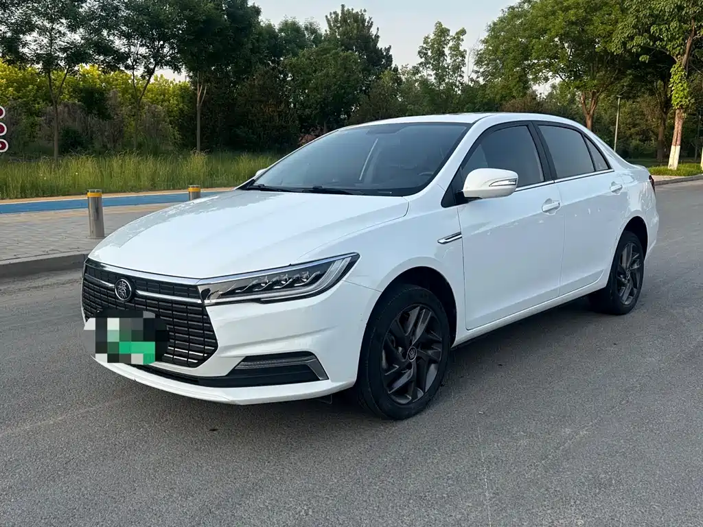 Роскошная версия Qinxin Energy 2019 с длительным сроком службы батареи