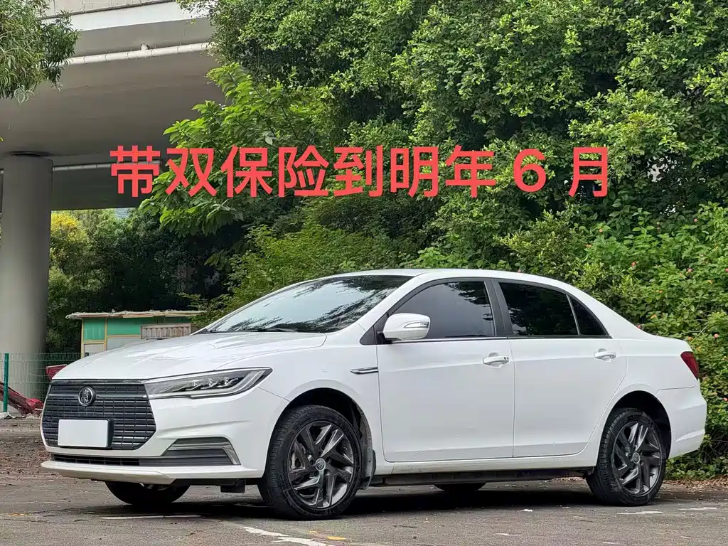 Роскошная версия Qinxin Energy 2019 с длительным сроком службы батареи