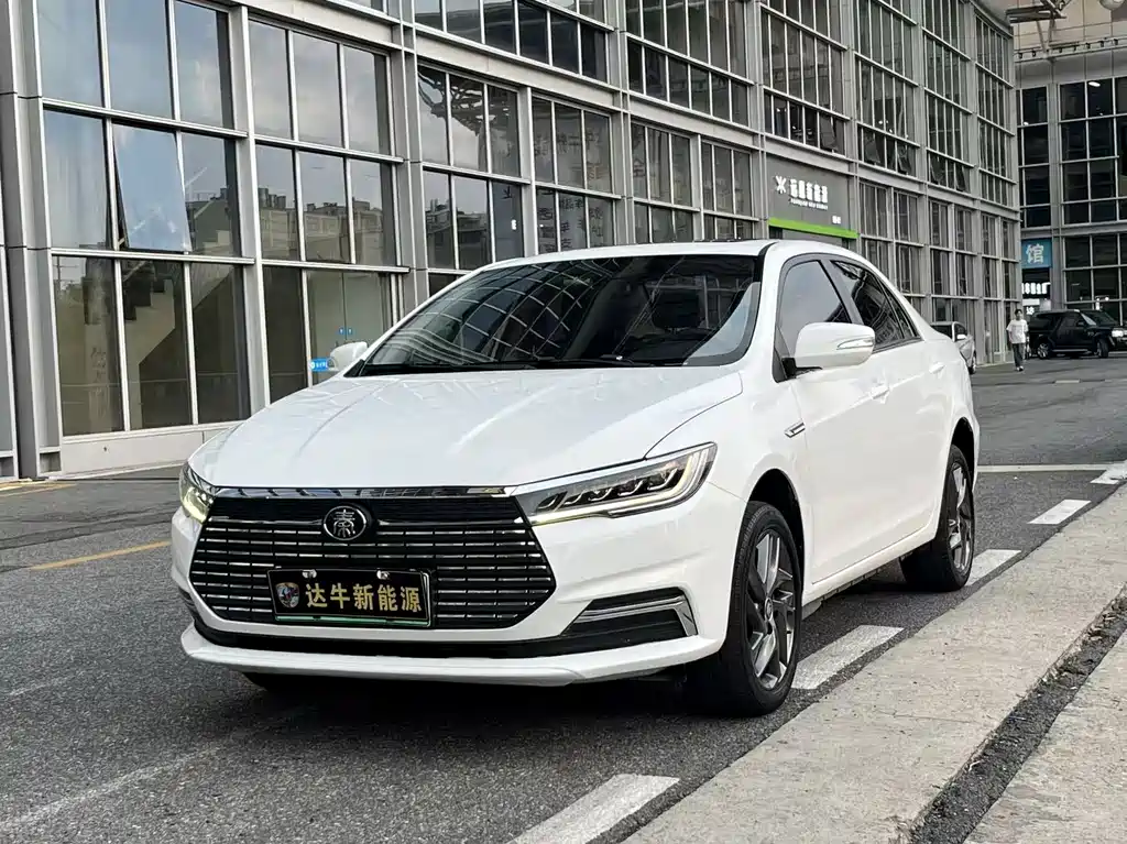 Роскошная версия Qinxin Energy 2019 с длительным сроком службы батареи