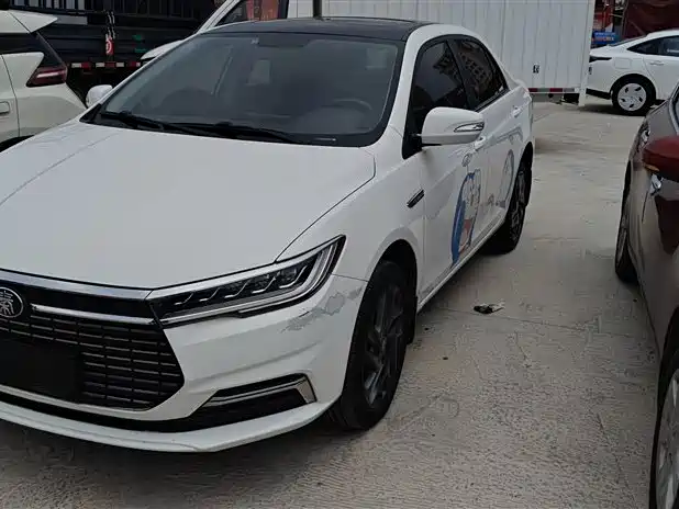 Роскошная версия Qinxin Energy 2019 с длительным сроком службы батареи